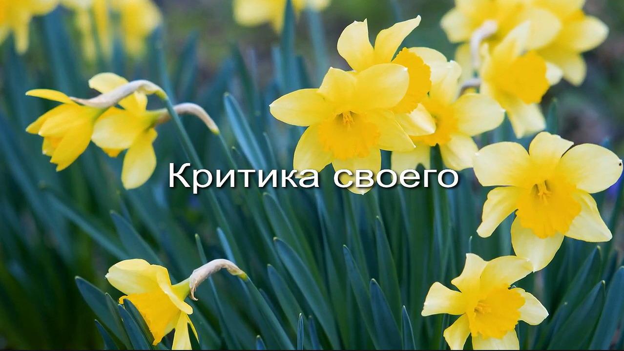 Критика своего заставка