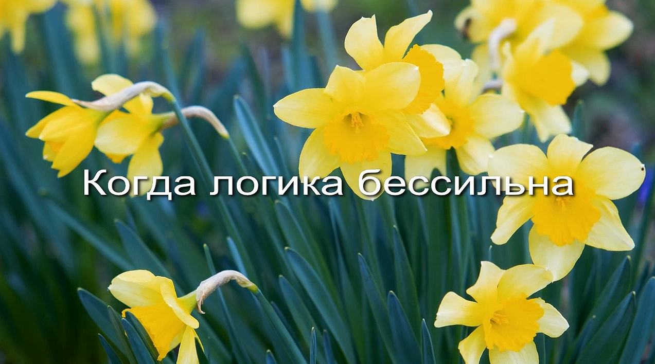 Когда логика бессильна заставка