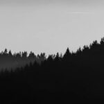 Темный и светлый принцип заставка