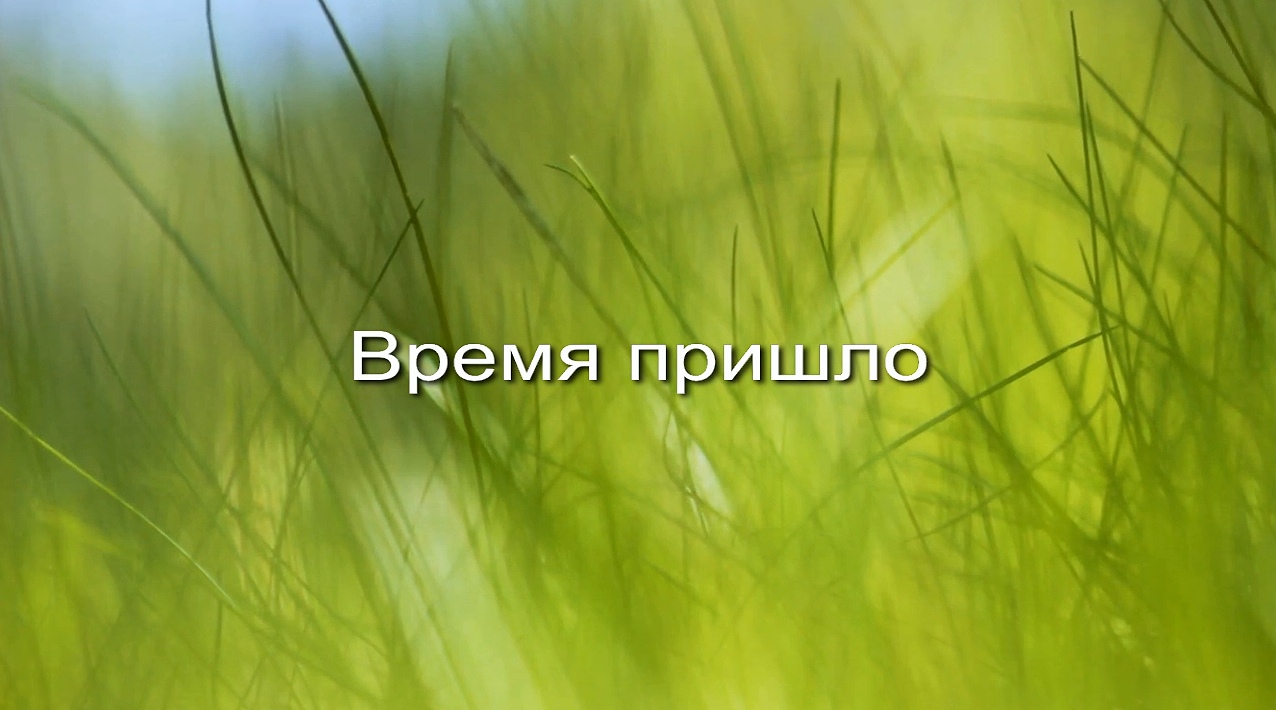 Время пришло заставка