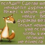 Почему дуракам везет заставка