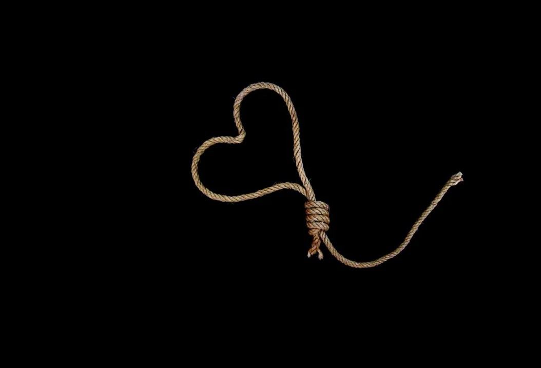 Сами лезут в петлю заставка