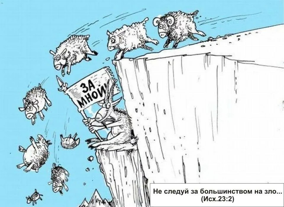 Почему темные торопятся заставка