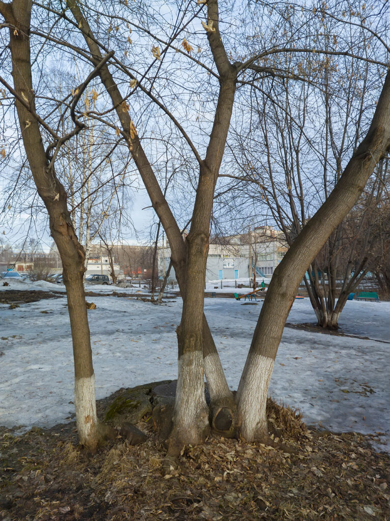 2026-04-03_001