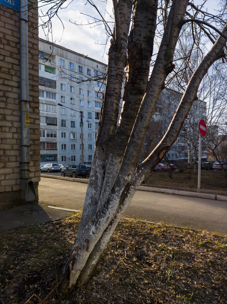 2026-04-14_001