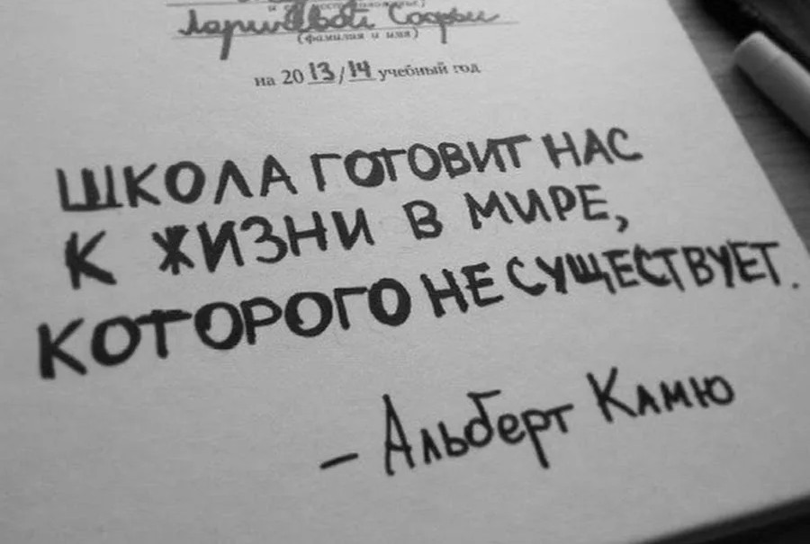 Чему не учат в школе заставка