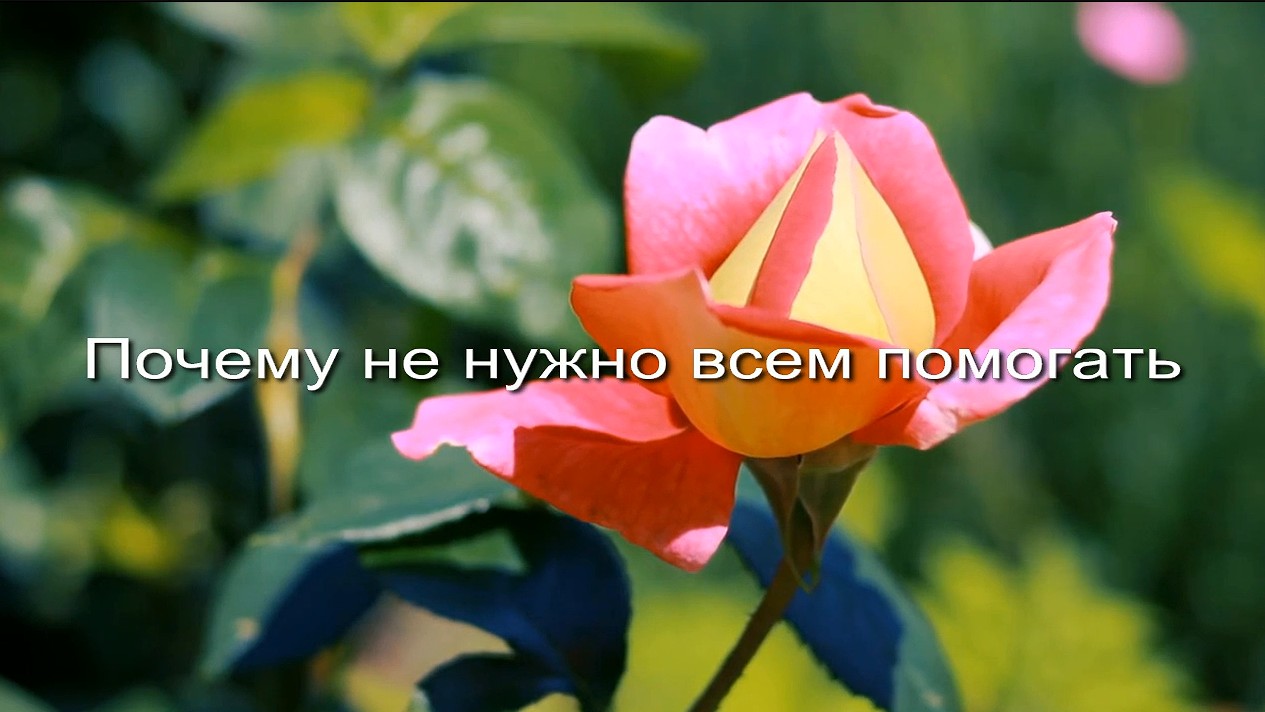 Почему не нужно всем помогать заставка