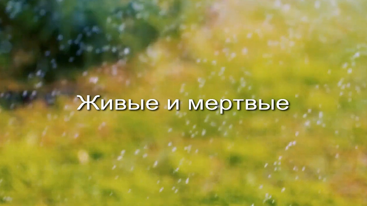 Живые и мертвые заставка