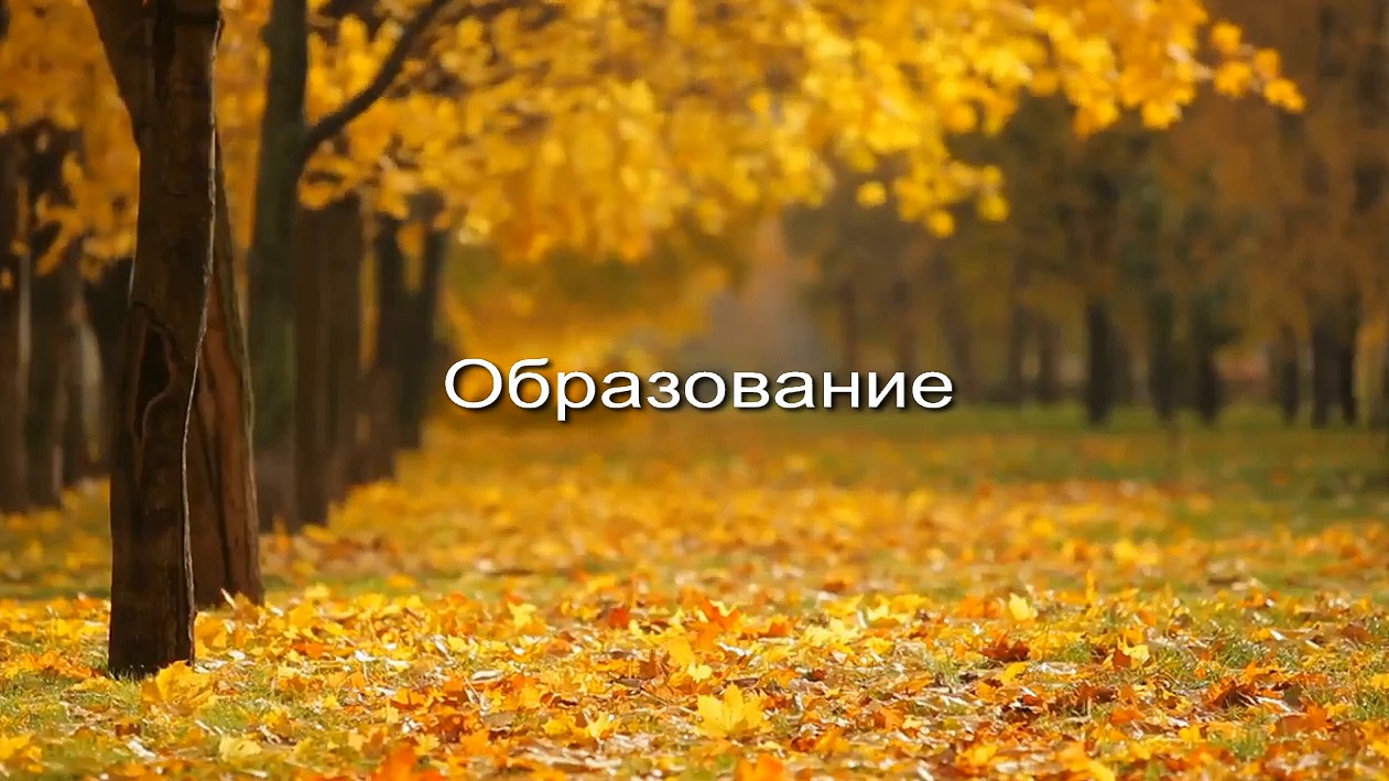 Образование заставка