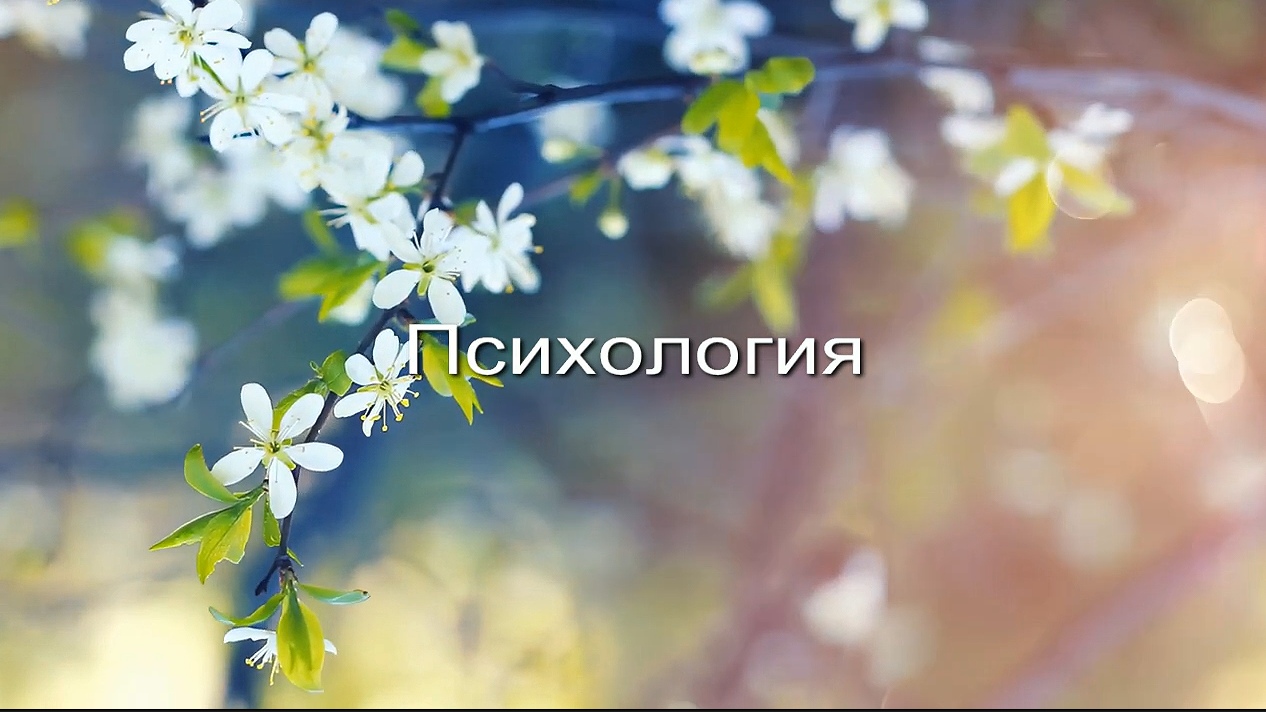 Психология заставка
