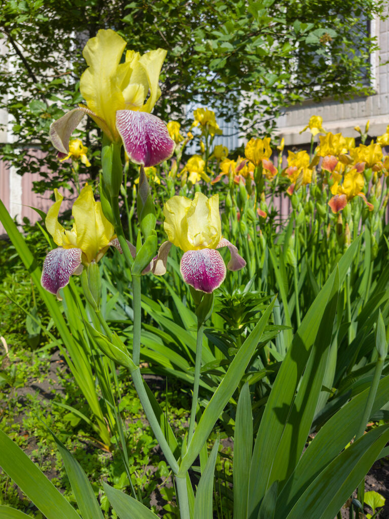 2026-06-12_002