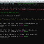 Консольный аудиоплеер Pure Audio Player заставка