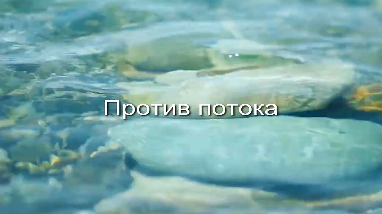 Против потока заставка