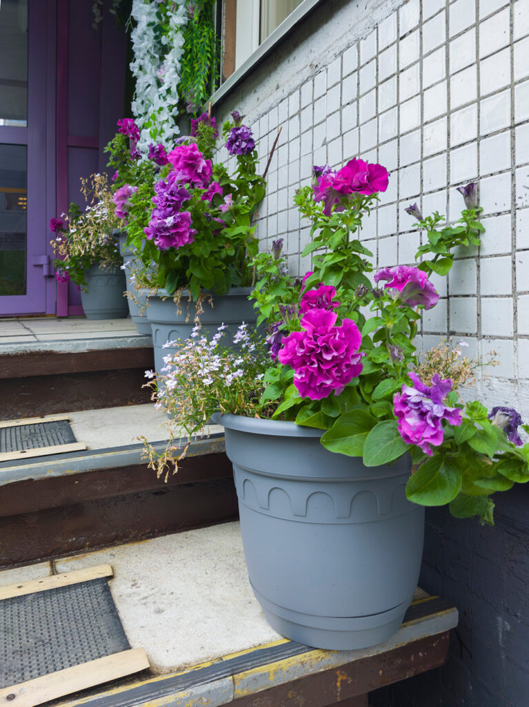 2026-07-25_004