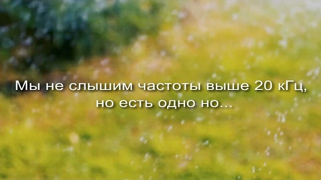 Мы не слышим частоты выше 20 кГц заставка