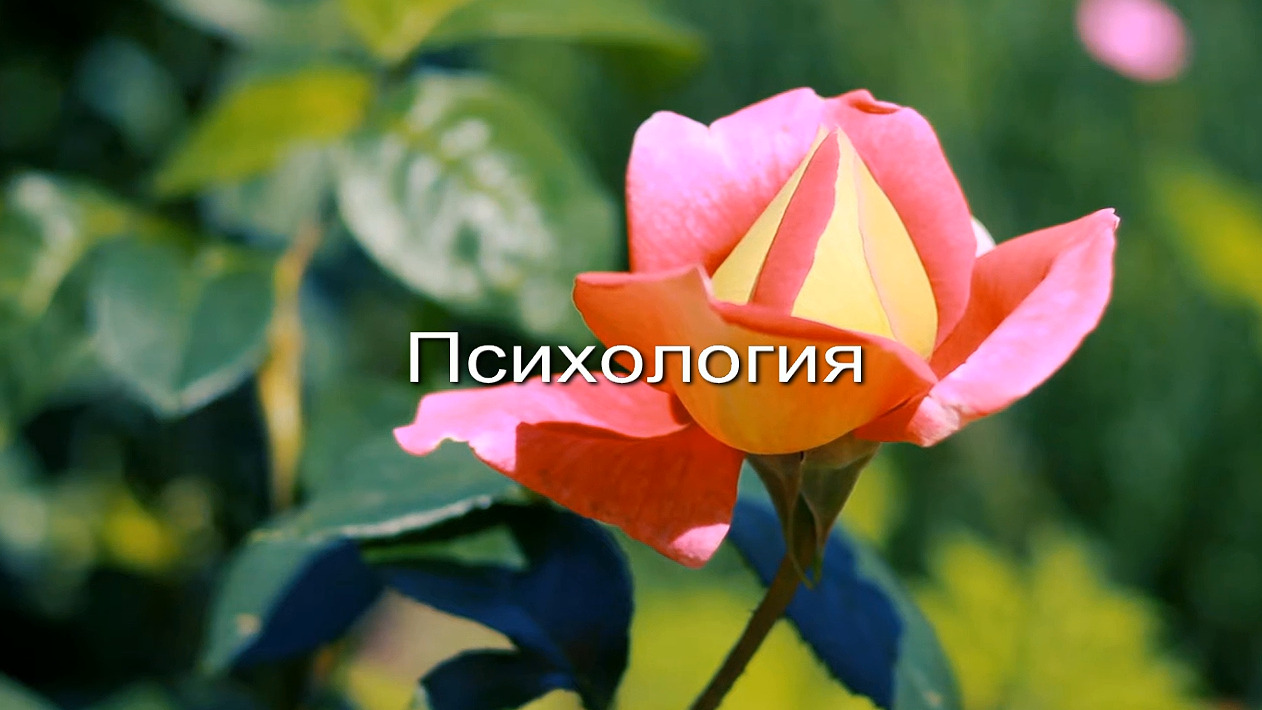 Психология заставка