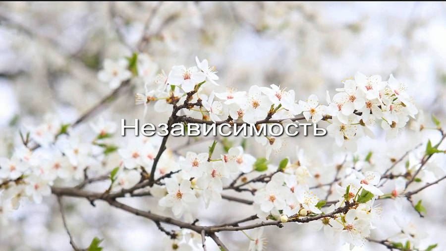 Независимость заставка