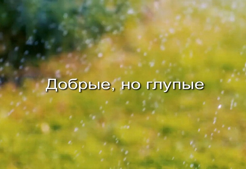 Dobrye-no-glupye-zastavka_